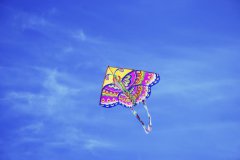【文化遺產(chǎn)日活動(dòng)】三明市博物館慶祝第11個(gè)中國文化遺產(chǎn)日百名兒童手繪風(fēng)箏活動(dòng)