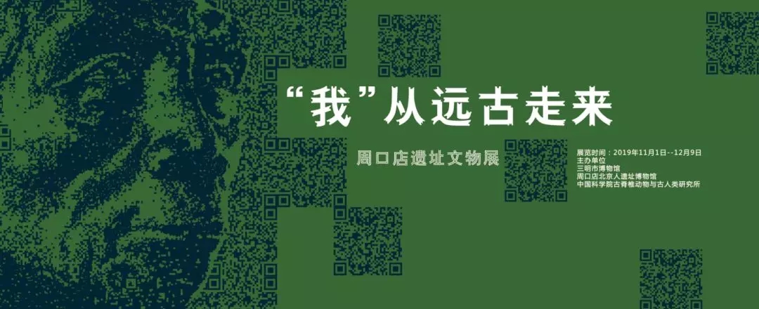 “我”從遠(yuǎn)古走來——周口店遺址文物展